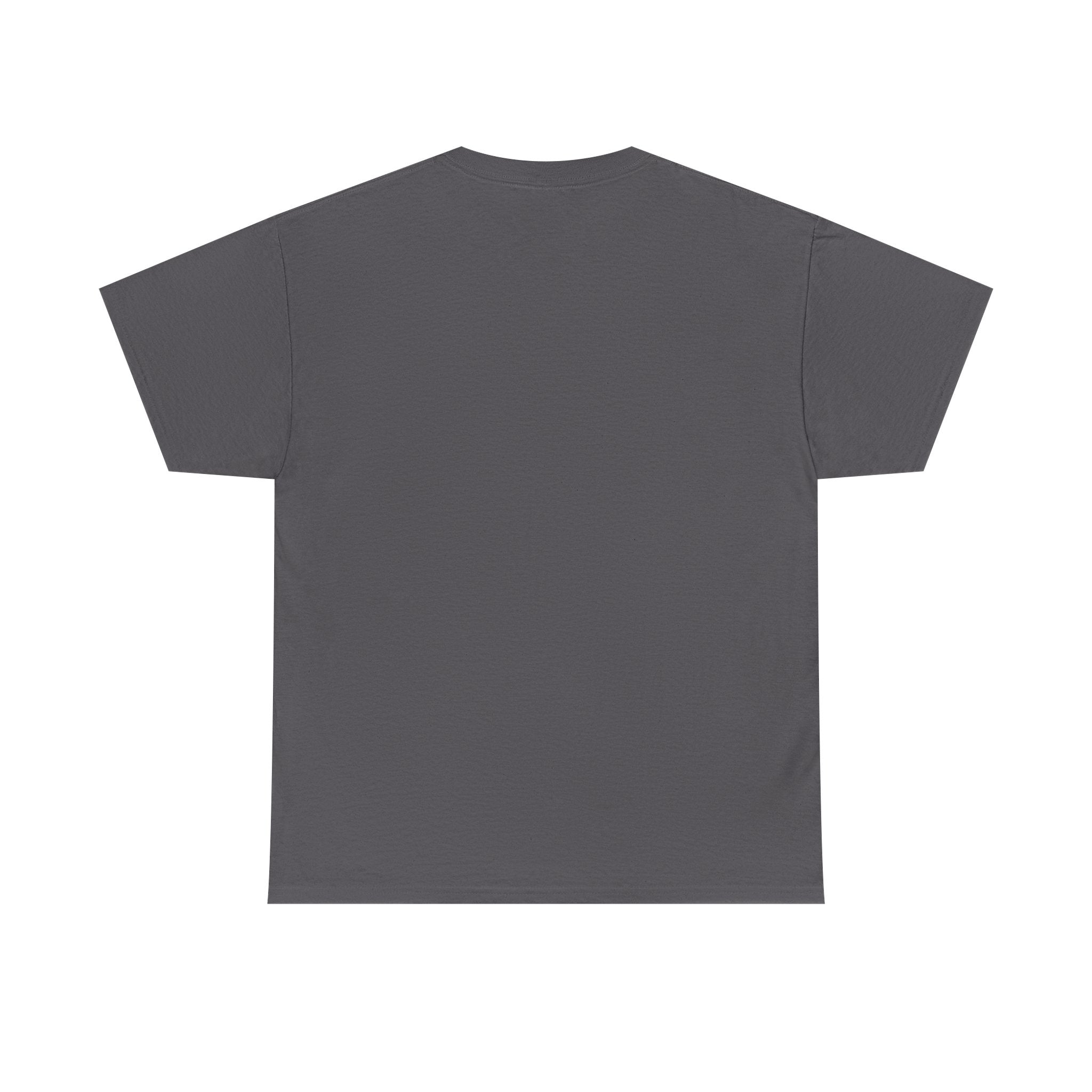 'He Paid It All'  — Graphic Tee