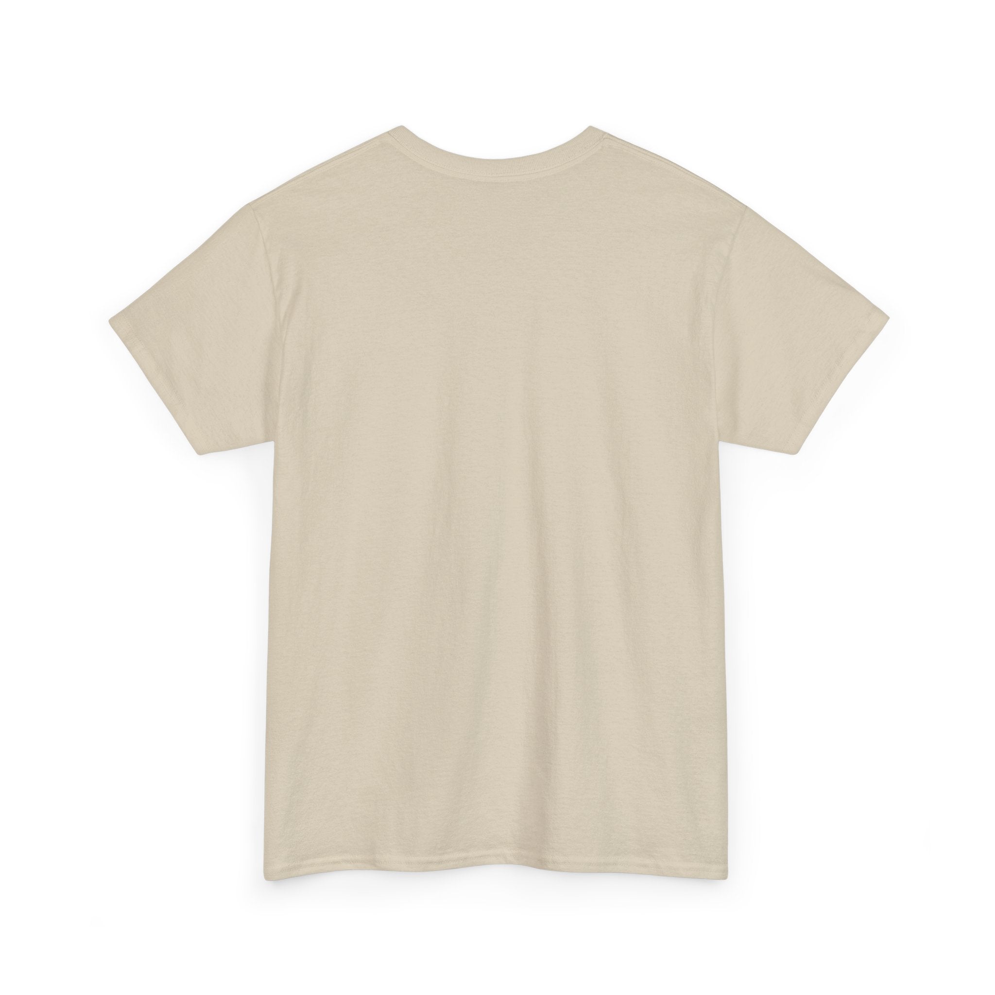 'He Paid It All'  — Graphic Tee