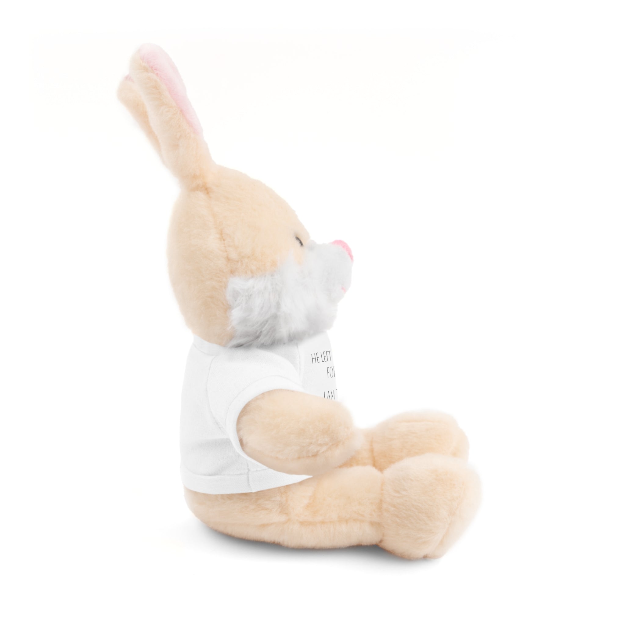 'I Am The One' — Plush