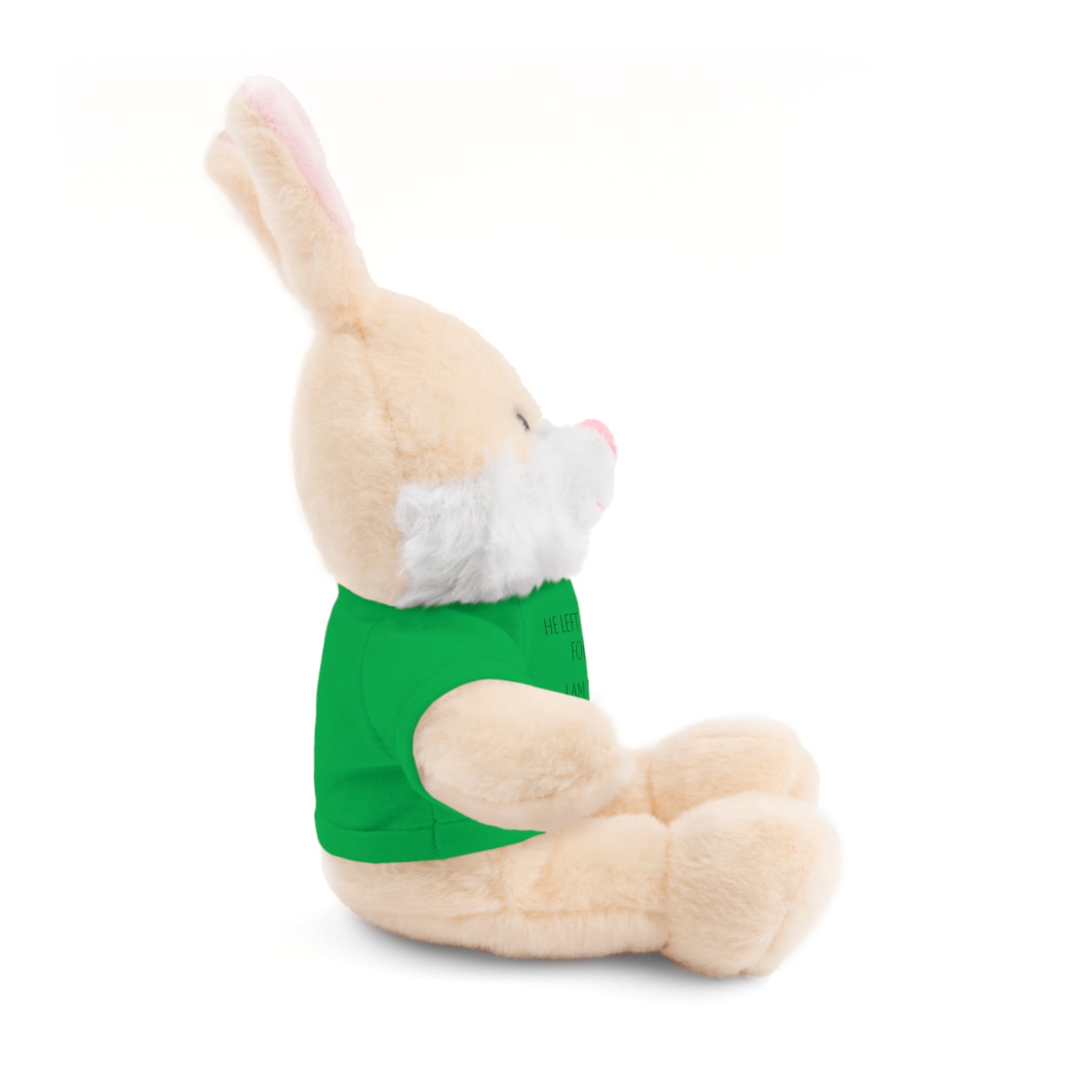 'I Am The One' — Plush