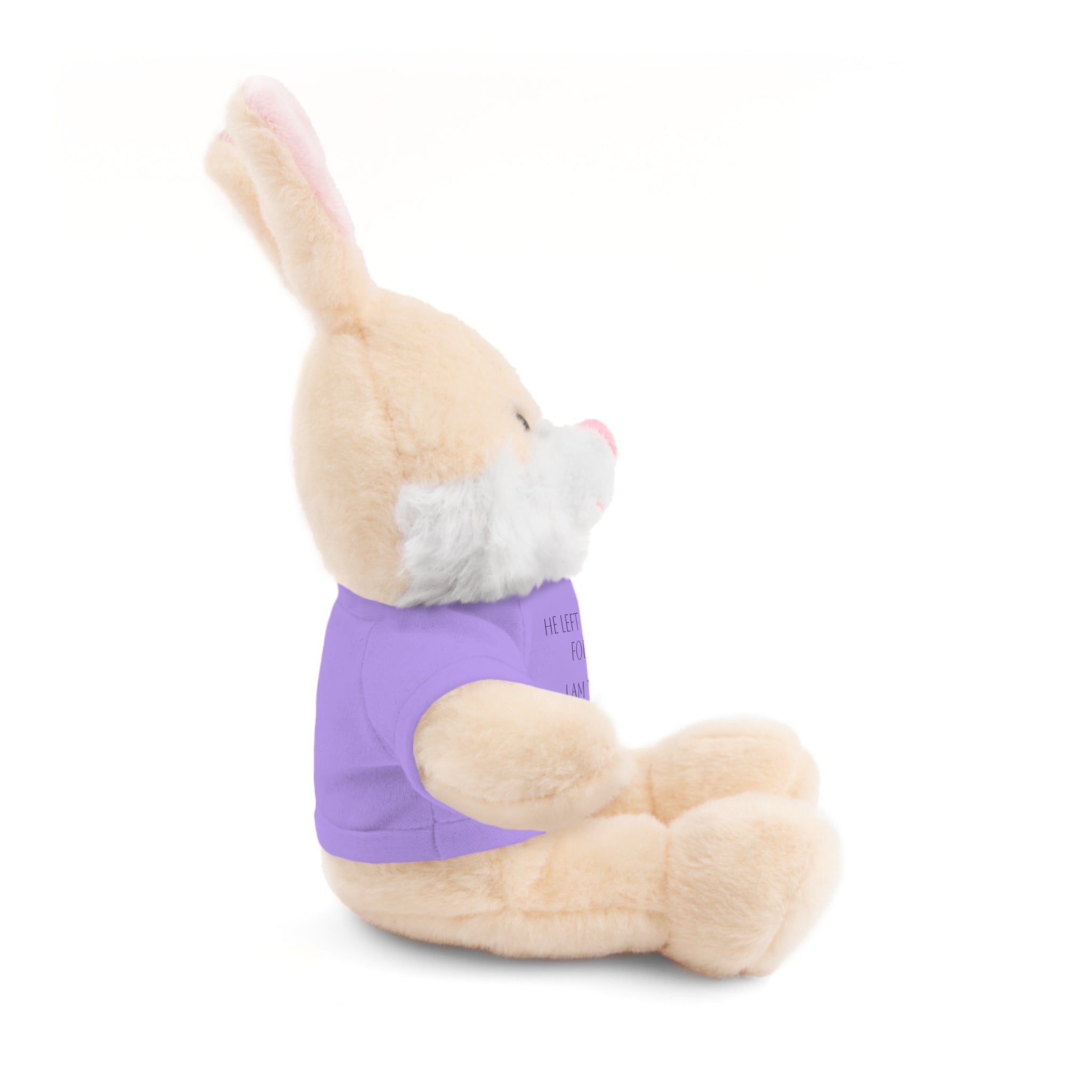 'I Am The One' — Plush