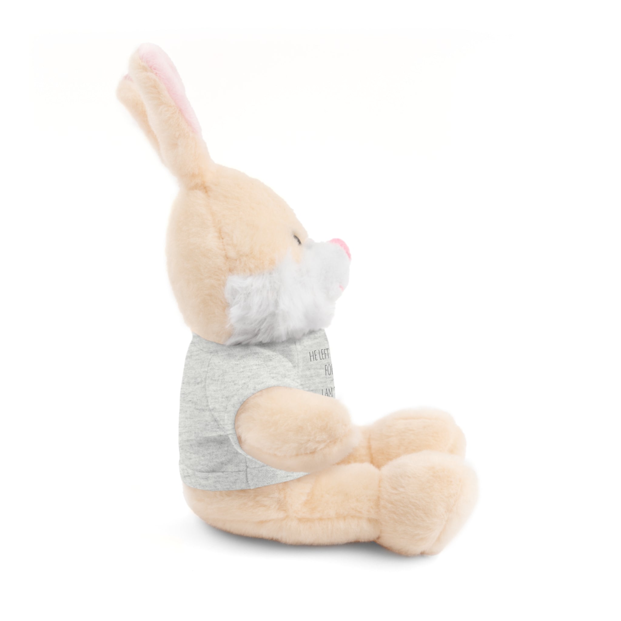 'I Am The One' — Plush