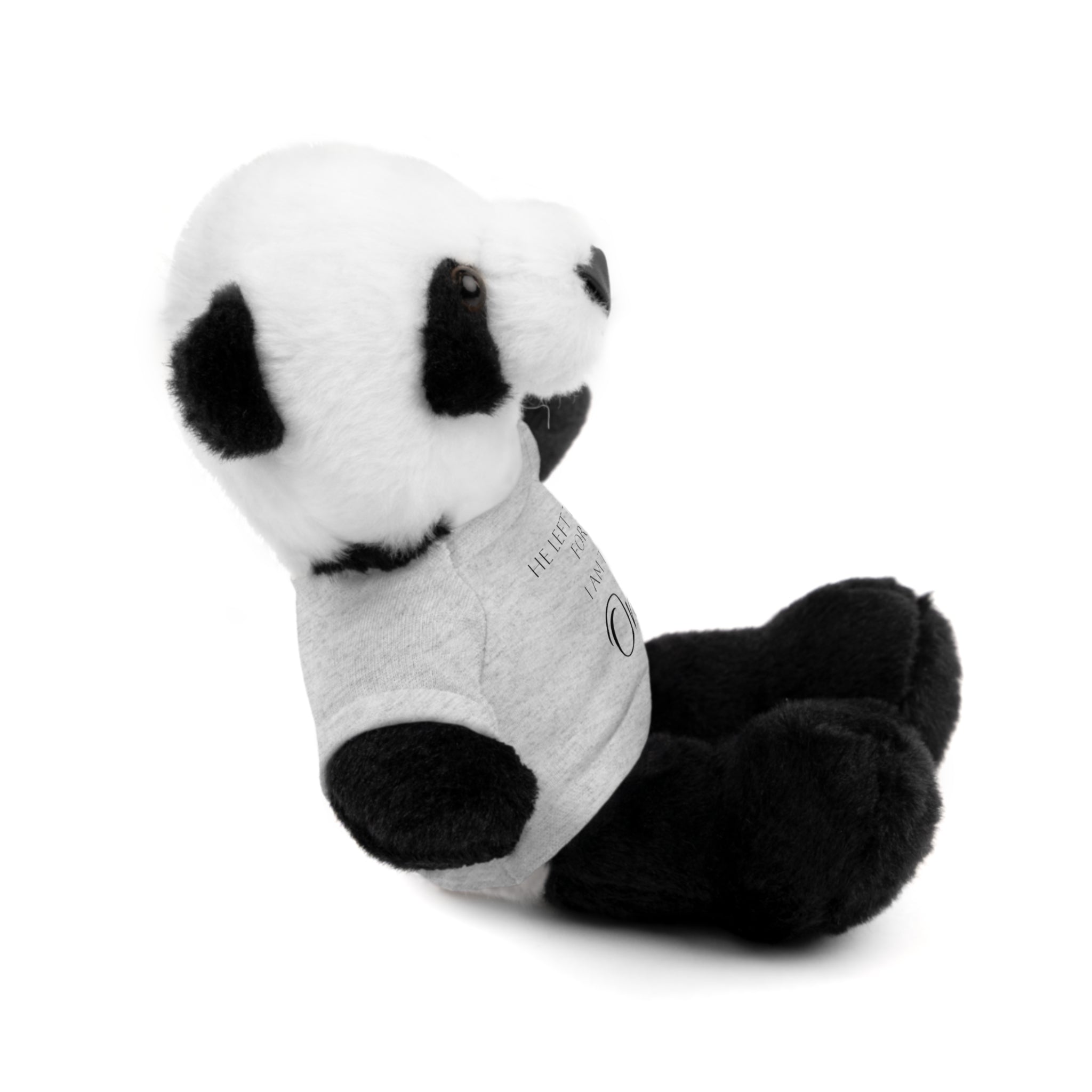 'I Am The One' — Plush