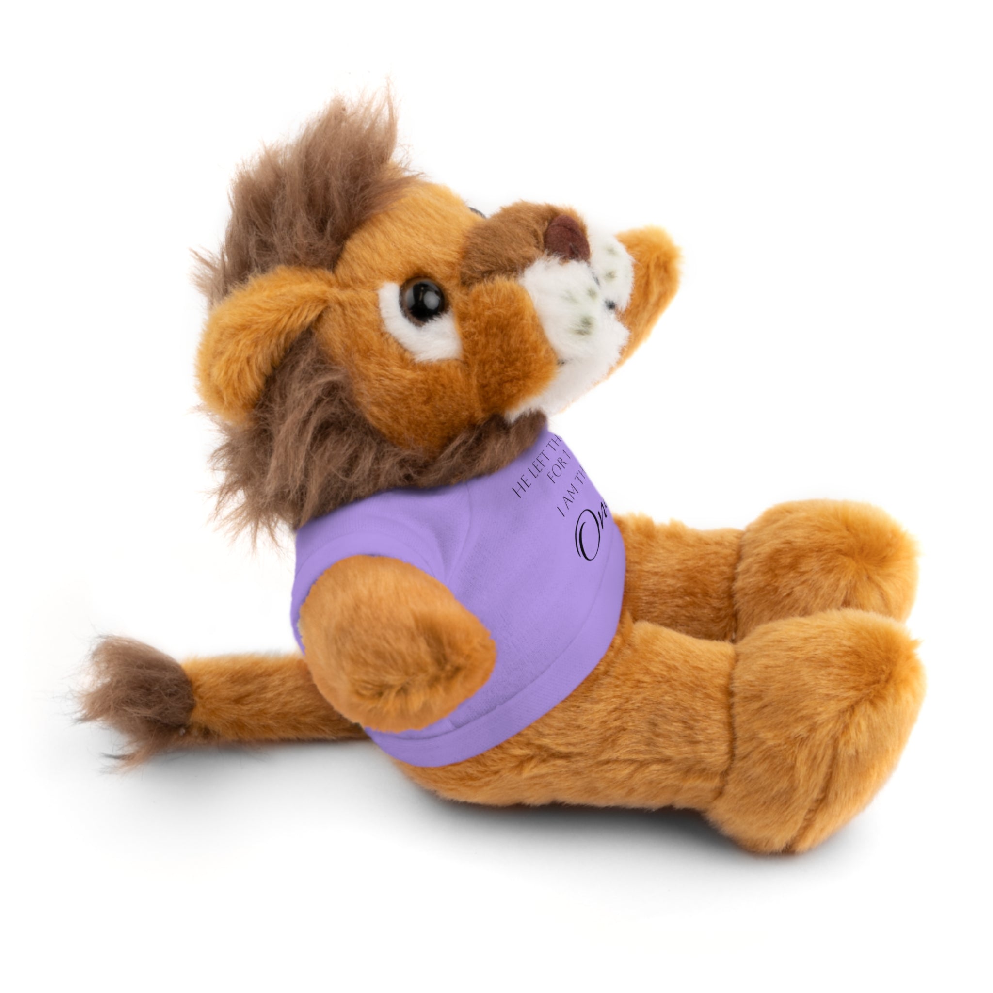 'I Am The One' — Plush
