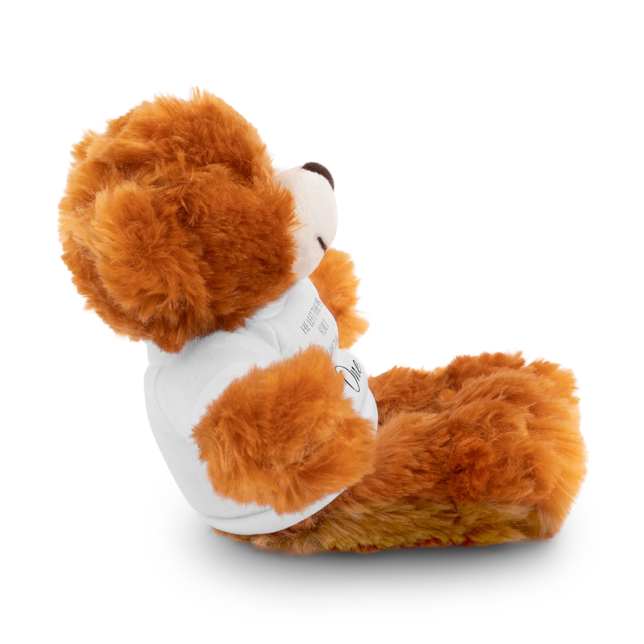 'I Am The One' — Plush