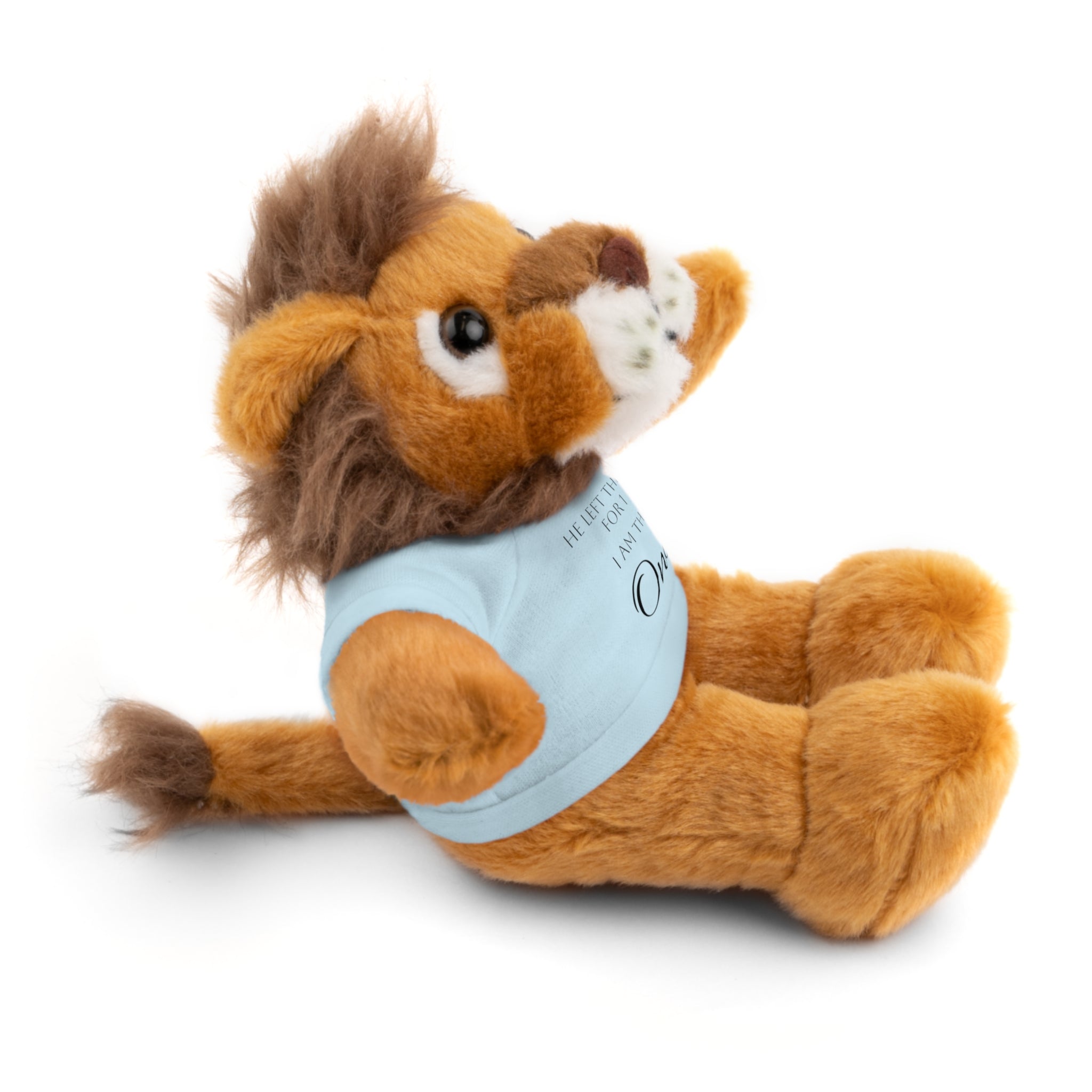 'I Am The One' — Plush